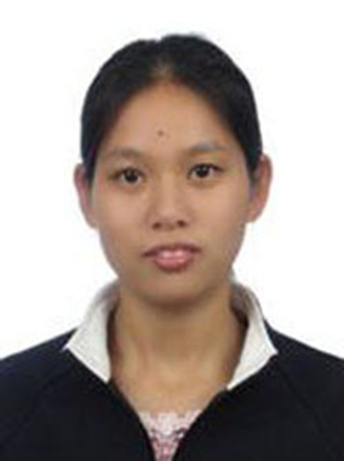 Ding Yanxia